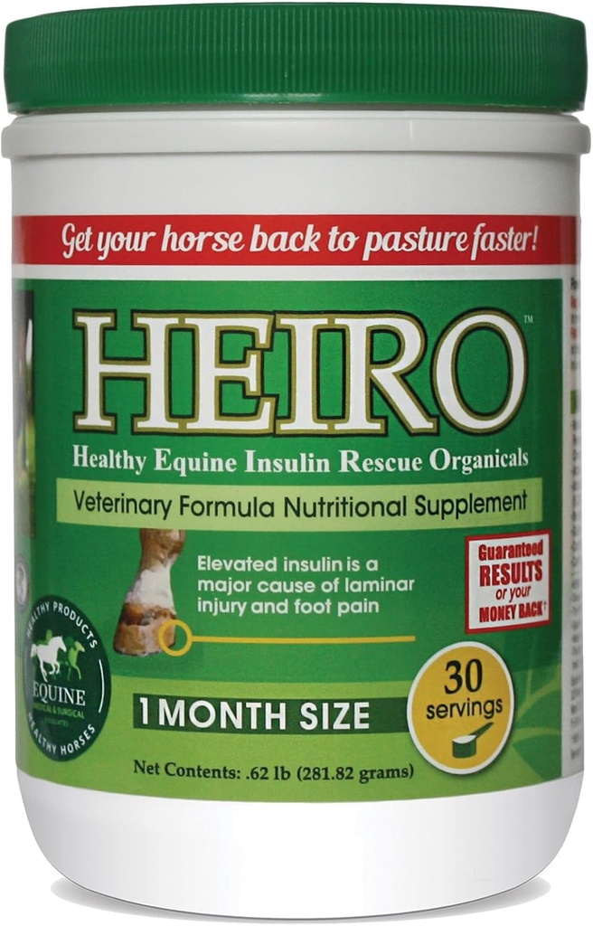 Heiro 30 서빙