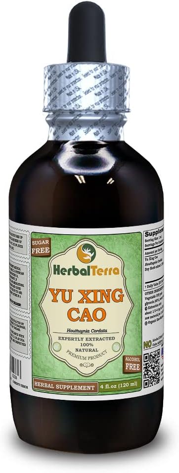 Yu Xing Cao (Houttuynia Cordata) Glycerite, 건조 허브 알코올 무료 액체 추출 (브랜드 이름: HerbalTerra, Proudly Made in USA) 4 fl.oz (120 ml)