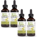 Maxx Herb Olive Leaf Extract – 최대 강도 Oleuropein 액체는 캡슐 또는 차보다 더 나은 흡수, 면역 지원, 심장 건강 및 계절 웰빙 - 4 병, 4 Oz 각각 (240 서빙)