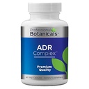 전문 식물 Adrenal Complex 보충 – 건강한 Adrenal 기능, 스트레스 완화 및 에너지 레벨 지원 – 90 채식 캡슐