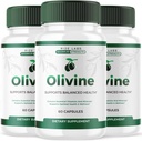 실험실을 rize (3 팩) Olivine 체중 감량 보충, 총 바디 웰니스 및 건강한 라이프 스타일을 위한 Olivine Superfood 캡슐, Leaner Physique, Olive Vine 리뷰 (180 캡슐)