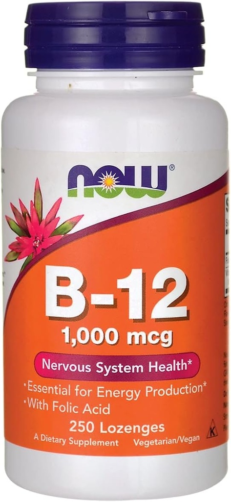 지금 B-12 1000mcg 250 Lozenges