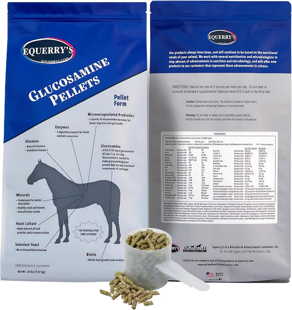 Equerry의 글루코사민 펠릿 - Probiotics, Digestive Enzymes, Vitamins 및 Minerals와 함께 말을위한 공동 지원 - 미국 - 20lb