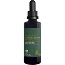 Global Healing Center - 유기농 Ashwagandha 보충제 드롭 - 남성 및 여성을위한 KSM-66 Ashwagandha 여분의 강도, 스트레스, 계류 지원, 유기 (2 Fl Oz)의 완화를 촉진하는 데 도움이됩니다.