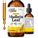 Lungs - Lung Detox 및 Cleanse - Echinacea & Licorice 뿌리를 가진 액체 Mullein 잎 Tincture - Vegan, 설탕 & 알콜 자유로운 추출물 보충교재 - 2개 fl oz