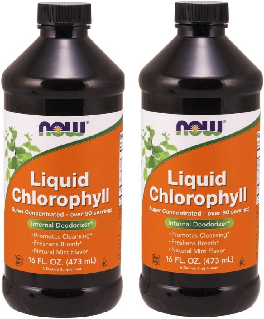 지금 음식 Chlorophyll & Mint, 16 OZ 액체 (2의 포장)