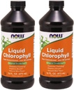 지금 음식 Chlorophyll & Mint, 16 OZ 액체 (2의 포장)
