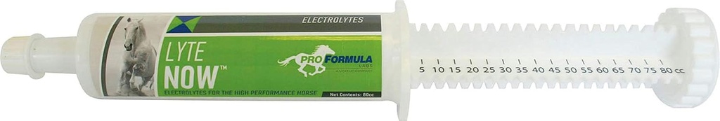Uckele Lyte 이제 말을위한 주사기 - 말을위한 전체 스펙트럼 전해질 페이스트 - Equine Mineral Fluid Replenishment - 3 복용량 - 80 CC