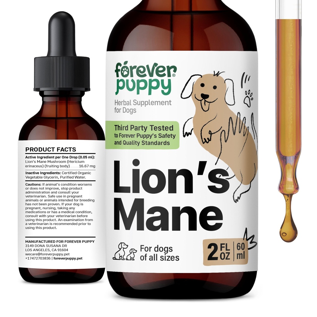 Forever Puppy Lions Mane Mushroom Supplement for Dogs - Brain & Focus Support - Dogs - Canine Vitamins 및 보충제 - 설탕 및 알코올 무료 Drops - 2 fl oz
