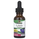 자연? 답변 Lobelia 허브 Lobelia Inflata - 자연 초본 보충 - 글루텐 알코올 - 면제를위한 이상 전반적인 건강 웰빙? 690mcg (1 FL Oz)