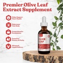 Rejuvica Active Olive Leaf Extract | Naturally Occurring Oleuropein Liquid Drops for Immune & Heart Support | 빠른 흡수, 채식주의자, 알코올 무료 | 6 fl oz