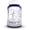 Nootropics Depot Polygala 10uifolia 캡슐 | 100mg | 90 Count | 20:1 Extract | Yuan Zhi | Cognitive Function, Learning and Memory | 건강한 스트레스 레벨 지원 | Adaptogen Supplement