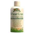 Real Ginger Extract, Nature's Perfect Superfood, 32 서빙과 정원 녹색 밀 잔디 액체