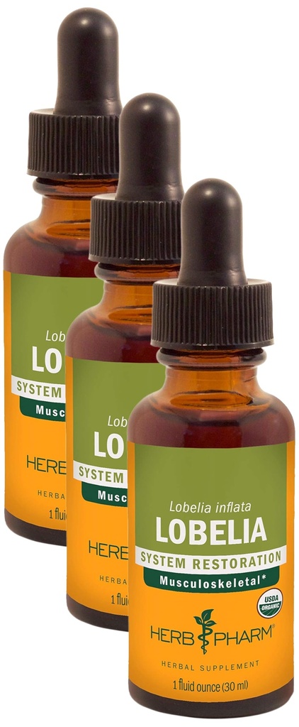 Herb Pharm은 Musculoskeletal 시스템 지원을위한 유기 Lobelia 액체 추출 - 1 Ounce (DLOBEL01) (패키지 3)