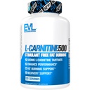 체중 감량 지원을위한 EVL L-Carnitine 보충 - 셀룰러 에너지 초점 내구시간 및 지방 연소 지원을위한 L Carnitine Tartrate - 지방 대사를위한 자극제 무료 아미노산 (120 서빙)