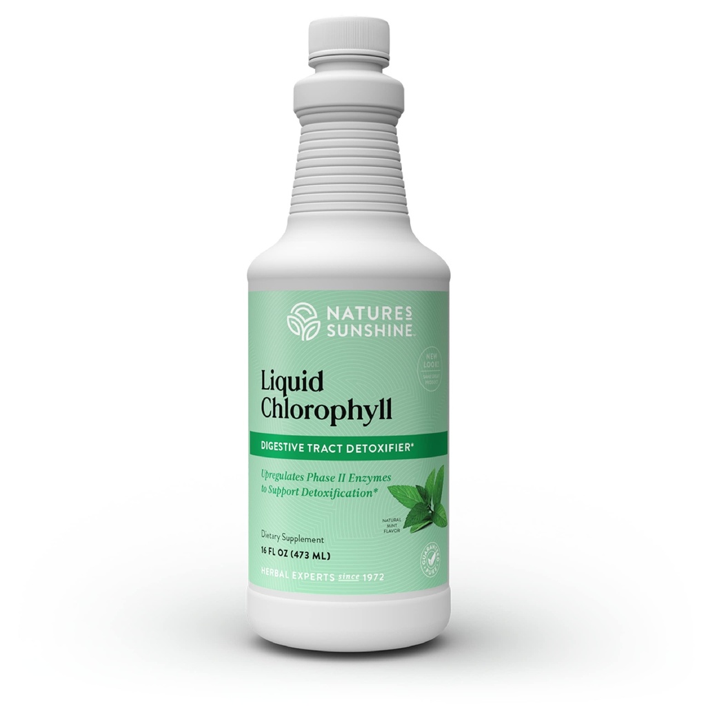 Nature's Sunshine Liquid Chlorophyll - Immunity Support, Detox & Cleanse, Spearmint Oil, Natural Energy Boost, 내부 Deodorant - 16 Fl Oz가있는 Chlorophyll 액체 드롭