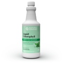 Nature's Sunshine Liquid Chlorophyll - Immunity Support, Detox & Cleanse, Spearmint Oil, Natural Energy Boost, 내부 Deodorant - 16 Fl Oz가있는 Chlorophyll 액체 드롭