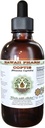 Coptis 알콜 자유로운 액체 추출물, Coptis (Rhizoma Coptidis)에 의하여 말린 뿌리 Glycerite 하와이 Pharm 자연적인 초본 보충교재 2개 oz