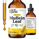 Wild & Organic Mullein Tincture - Lung Cleanse 및 Detox - Echinacea와 Lung을위한 액체 Mullein 잎 추출물 - Verbascum Thapsus Drops - Vegan, Sugar & Alcohol-Free Supplement - 4 fl oz