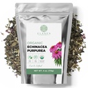 유기 Echinacea Purpurea 4 oz. (113g), USDA에 의하여 증명되는 말린 Echinacea 차, 우수한 질 허브, 자주색 꽃, 커트 & Sifted