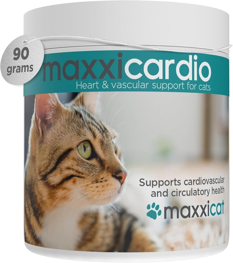 Maxxipaws maxxicardio 심장 & 심장 혈관 분말 보충 고양이, 3.2oz