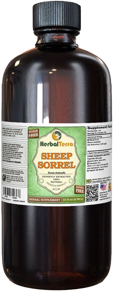 Sheep Sorrel (Rumex Acetosella) Glycerite, 유기 건조 허브 알코올 무료 액체 추출 (브랜드 이름: HerbalTerra, Proudly Made in USA) 32 fl.oz (0.95 l)