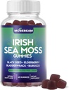 Irish Sea Moss Gummies - 검은 씨앗 Elderberry Bladderwrack Burdock Turmeric Omega-3 비타민 C D3 아연 - Seamoss는 성인 여성 남성을위한 보충제 - Sugar-Free Gluten Free Vegan