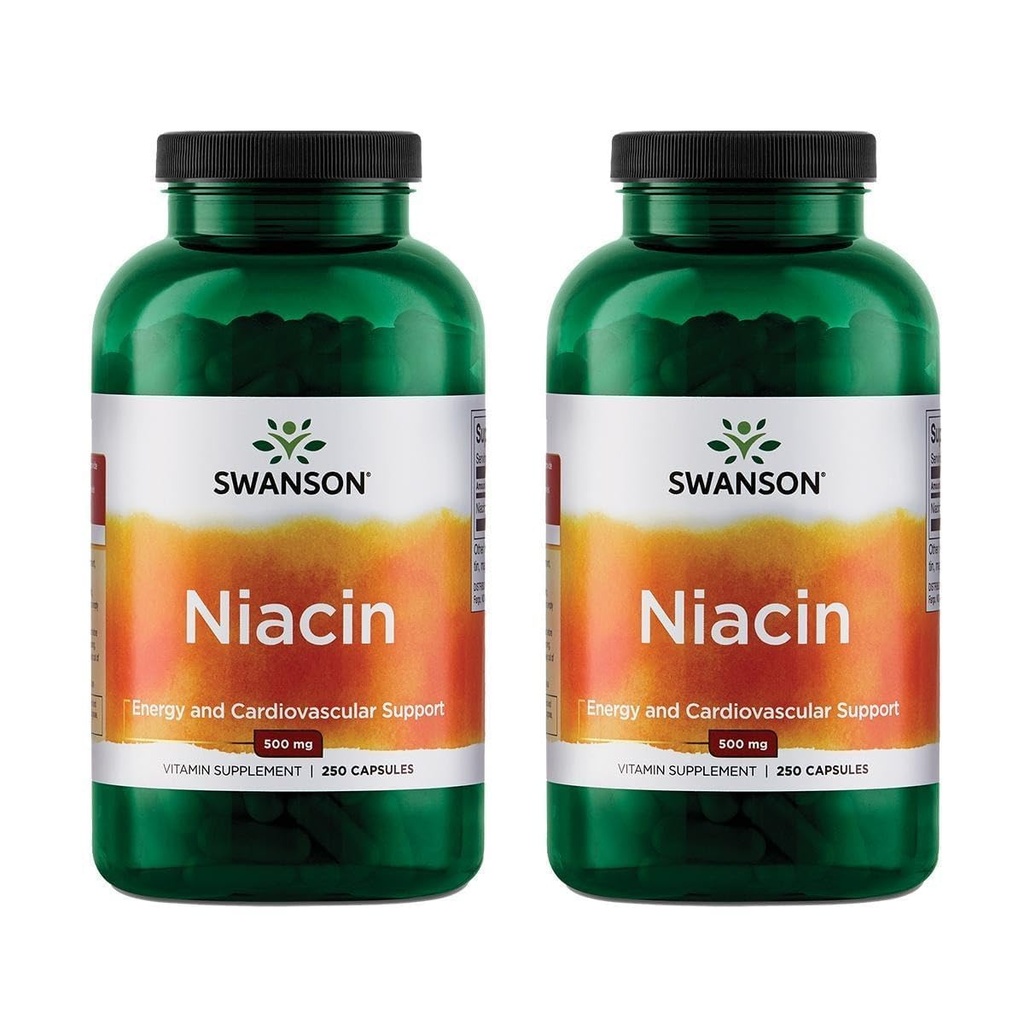Swanson Niacin (B3) 카디오 건강 지원 탄수화물 대사 500 밀리그램 250 캡슐 (2 팩)