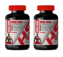 남성 근육 빌더 알약 - BRANCHED 체인 아미노산 - BCAA 3000MG - bcaa 기차 및 복구 - 2 병 240 정제