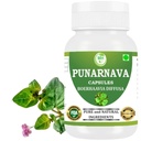 Punarnava 캡슐 (Boerhaavia Diffusa) 500mg – 60 Veg 캡슐 | 자연 Kidney & Liver 지원을위한 초본 웰빙 보충 | 식물 기반 Detox 및 클렌징 포뮬러 | 팩 1