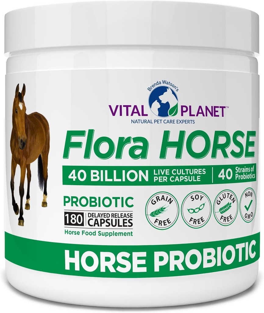 Vital Planet - Flora Horse Probiotic, Prebiotics, 40 억 라이브 CFU를 가진 높은 효능 Equine Probiotics, 소화 및 면역 지원, 180 지연 릴리스 캡슐 (180 일)