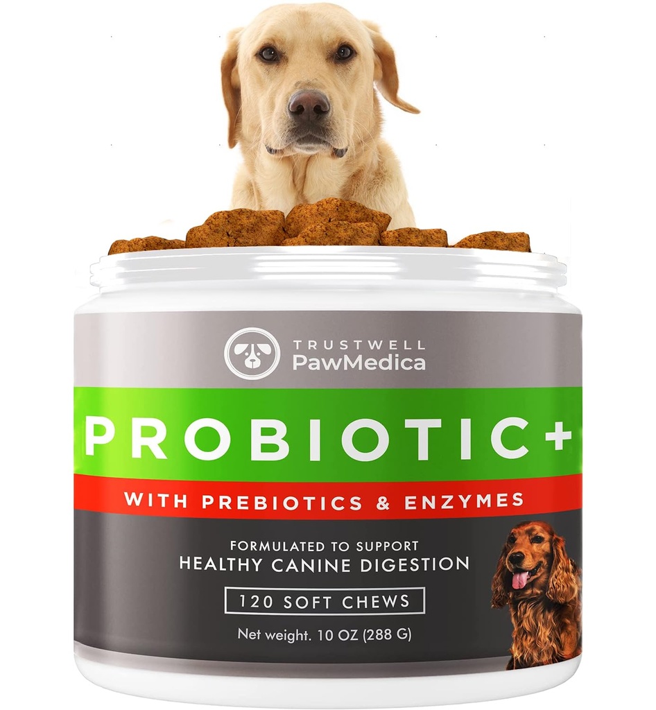 PawMedica Dog Probiotics 및 Digestive Enzymes, 미국, 개를위한 애완 동물 Probiotic Chews, Prebiotics & Probiotic Dog Digestive Support, Probiotic Treats - 120 개 Probiotic Chews