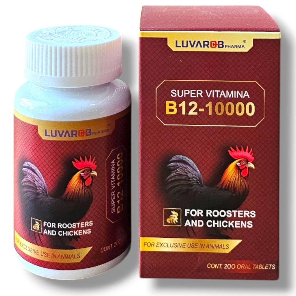 B-12 200 새 로스터에 대 한 정제