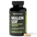 호흡 건강을위한 Mullein 잎 캡슐 - 5000mg 추출물 10 : 1 Lung 지원 및 면역 기능 - 90 카운트 - Vegan, Non-GMO 캡슐 - 매일 웰빙을위한 초본 보충 - 3 개월 공급