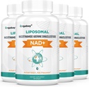 Orgabay Liposomal NAD + 보충 500 mg, 높은 흡수, TMG 250 mg, Nicotinamide Riboside, 지원 세포 에너지, 건강한 노후화 인후화 인후화 인후화 인후화 인후화 인후화 인후화 인후화 인후화 인후화 인후화 인후화 인후화 인후화 인후화 인후화 인후화 인민 공화국