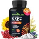 NAD + 보충교재 - 에너지, 초점, 피부 & 노화 방지 지원을 위한 순수한 NAD 플러스의 500mg - 여자 & 남자를 위한 글루텐 자유로운 비 GMO NAD 보충교재 (60의 조사 1), NAD+ Resveratrol의 포장)