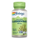 SOLARAY Bladderwrack 캡슐 580 mg - 영양 포장 된 Seaweed 보충, Iodine에서 높은 - 균형 잡힌 초본 지원 - Vegan, Non-GMO, 60 일 보증, 실험실 검증 - 100 서빙, 100 VegCaps
