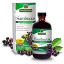 자연의 답변 Sambucus Elder Berry Extract Syrup 8 Ounce ( 3 Pack ) | 일일 면역 지원 | 항 산화제로 포장 | 가족 친화적 인 | Flue Season Defender