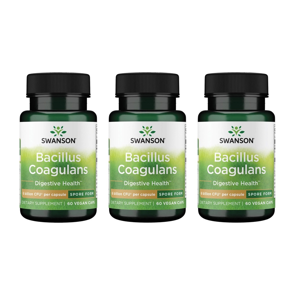 Swanson Bacillus Coagulans - 천연 Probiotic 보충 소화 건강 w / 6 억 CFU 지원 - 5 월 지원 GI 및 전체 Gut 건강 - (60 Veggie 캡슐) 3 팩