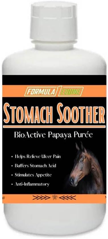 공식 1 Papaya Stomach Soother 32 온스