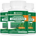 Liposomal Artemisinin 보충교재 1000mg의 200mg Quercetin Phytosome, Antioxidant 180 캡슐을 위한 최대 흡수를 가진 달콤한 Wormwood 추출물