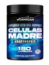 VITAMISAN Celulas Madres 180 캡슐 - 줄기 세포 파란 녹색 조류 - 비 GMO - 글루텐 자유로운 AFA - 셀룰러 광물 보충교재 - 사자 Mane Beta 글루칸은 건강한 시효를 지원하고 면역 Spirulina를 승진시킵니다.