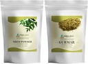 HERBAL HILLS Neem 잎 분말과 Gurmar 분말 Gymnema Sylvestre 2 결합의 팩