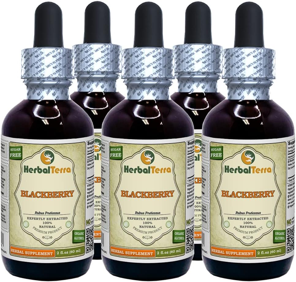 BlackBerry (Rubus fruticosus) Tincture, 유기 건조 정제 액체 추출 (브랜드 이름 : HerbalTerra, 미국에서 Proudly Made) 5x2 fl.oz (5x60 ml)