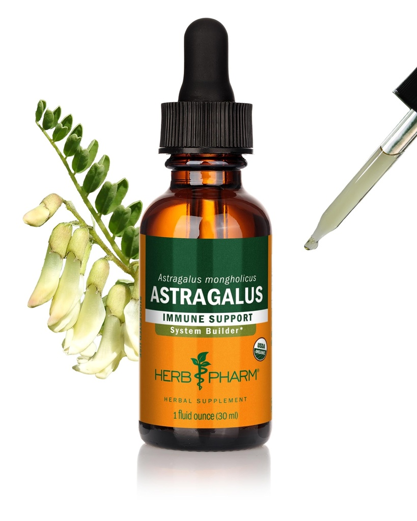 허브 제약 인증 유기 Astragalus 액체 추출 Immune 시스템 지원 - 1 Oz