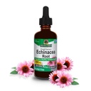 Nature's Answer Echinacea Extract | 건강한 면역 체계 지원 | Vegan, Gluten-Free, Alcohol-Free, Non-GMO 및 Kosher 인증 | 2oz