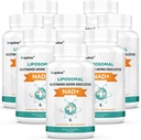 Orgabay Liposomal NAD + 보충 500 mg, 높은 흡수, TMG 250 mg, Nicotinamide Riboside, 지원 세포 에너지, 건강한 노후화 인후화 인후화 인후화 인후화 인후화 인후화 인후화 인후화 인후화 인후화 인후화 인후화 인후화 인후화 인후화 인후화 인후화 인민 공화국