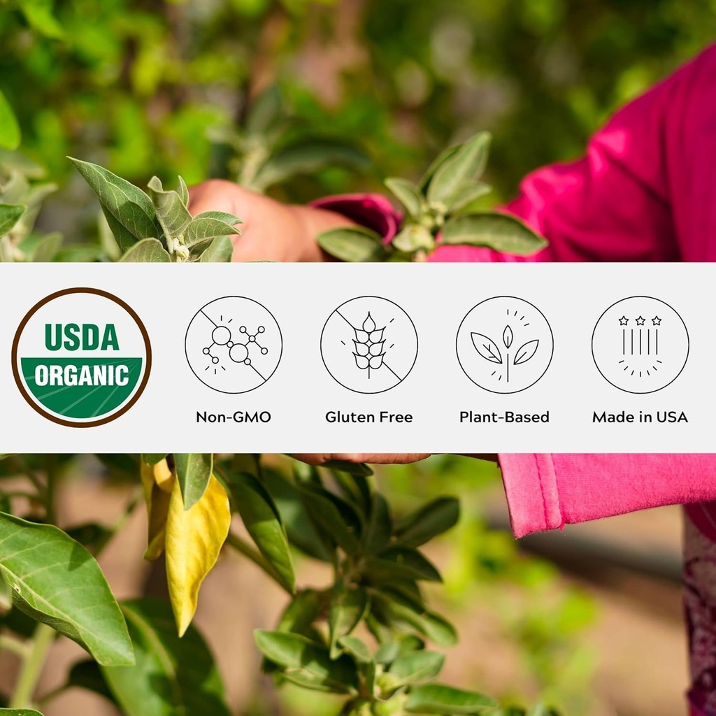 유기 Ashwagandha 분말, 비 GMO, 공정 무역, 채식주의자, 글루텐은, 단 하나 근원, Resealable 단지에 있는 Oregon Adaptogenic Ayurvedic 초본 보충교재에서 성장합니다