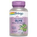 SOLARAY Olive 250mg - 22% Oleuropein, Plus Lemon Balm이있는 올리브 리프 추출물 캡슐 - 웰빙 지원을위한 폴리 페놀 보충 - 채식, 60 일 보증, 실험실 검증 - 120 서빙, 120 VegCaps