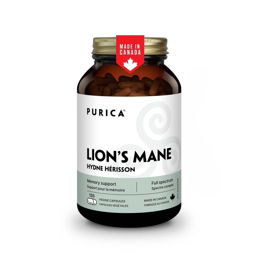 PURICA - 라이온의 Mane Micronized Mushrooms, 120 Vegan 캡슐 60 일 공급 -인지 건강을 촉진 - 비 GMO 및 글루텐 - 무료 초점 및 메모리 지원 - 두뇌 건강과 소화를 개선